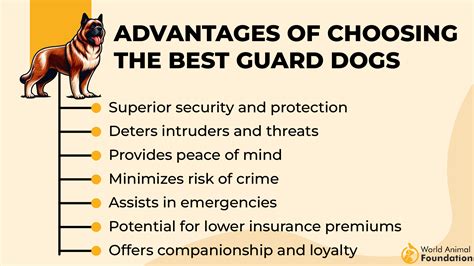 Training Guard Dogs for Protection 的图像结果