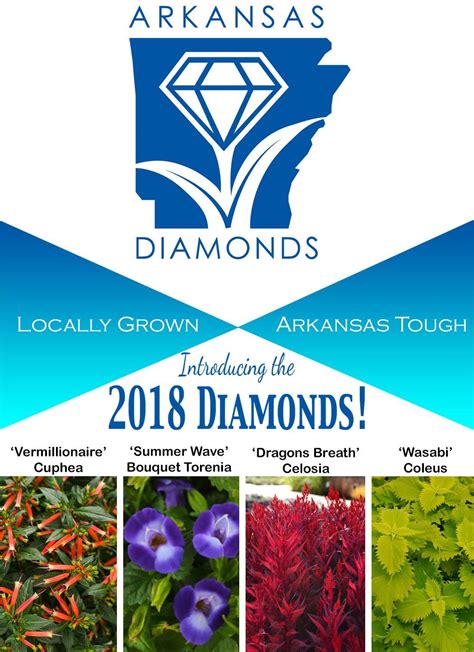Arkansas Diamond Logo - LogoDix