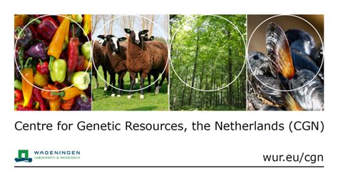 Genetic Diversity - Home