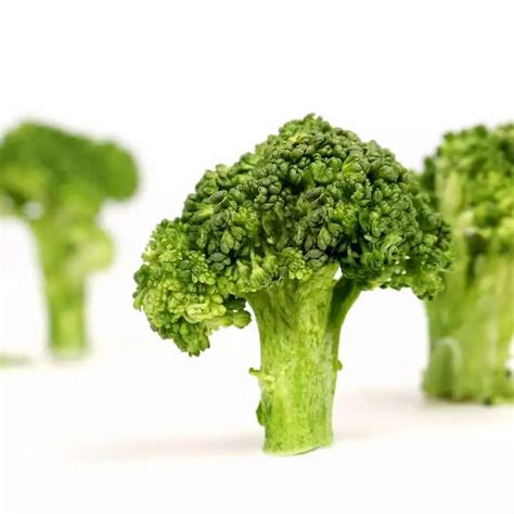 Freeze Dried Broccoli – LazyPet