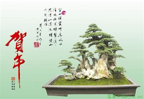 中国盆景欣赏及制作之二 - 盆景知识 - 美壶网