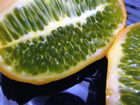 Image result for Alien Food