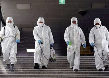 3 Best Pest Control Services in Dhanbad, JH - Expert Recommendations