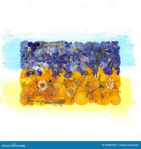 Flag of Ukraine Made of Blue and Yellow Dried Pressed Field and Garden Flowers. Modern Botanical ...