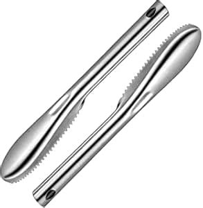 Buy Stainless Steel Fish Scale Remover Cleaner Fish Scaler (Pack of 2 ...