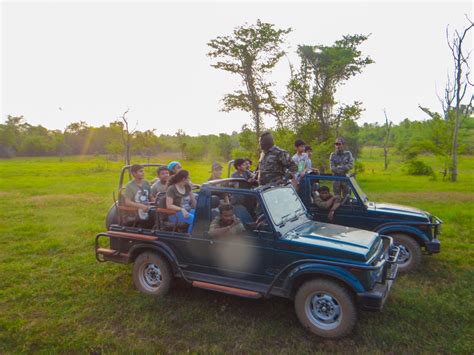 TADOBA – The land of Royal Bengal Tiger » Avenues World