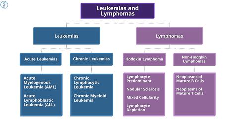Clinical Medicine: Leukemia & Lymphoma | Draw It to Know It