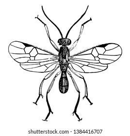 Image result for Digital Matrix Code