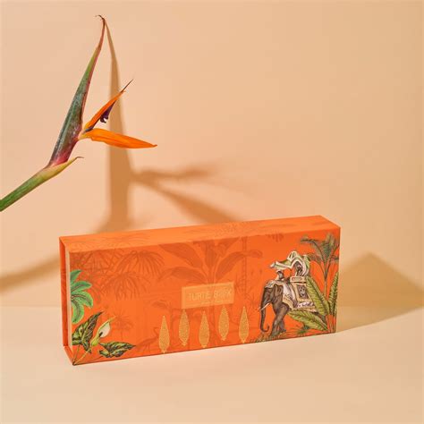 turtlebox