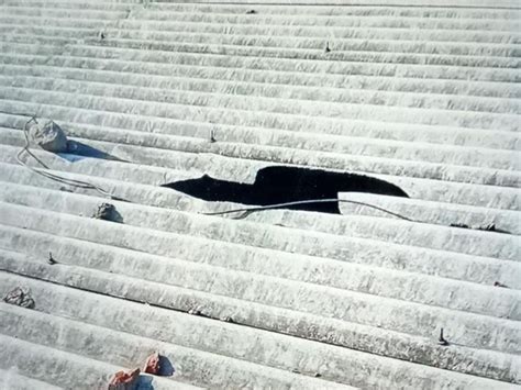 Stone pelting between two groups in Vijapur, bike was broken, building ...