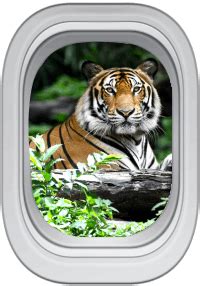 Best Tours and Holiday Packages | World tours |Book with Kesari