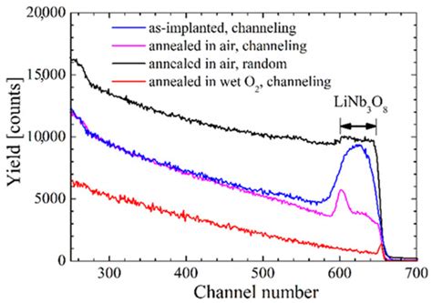 Unveiling the Defect Structure of Lithium Niobate with Nuclear Methods