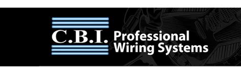 CBI MLC LowZ XLR Male to XLR Female Microphone Cable, 20 Feet : Amazon ...