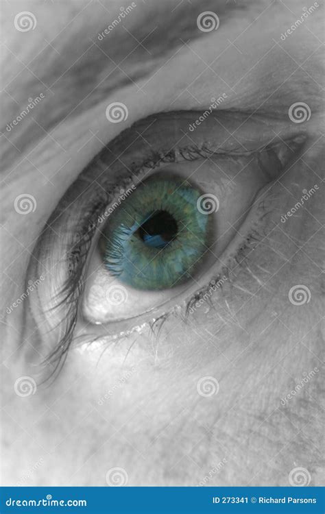 Blue Eye Macro Bot Tutorial 的图像结果