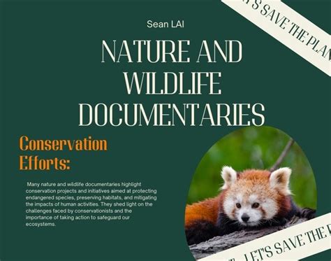 Wild Nature 的图像结果