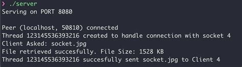 Transfer Files Using API in C 的图像结果