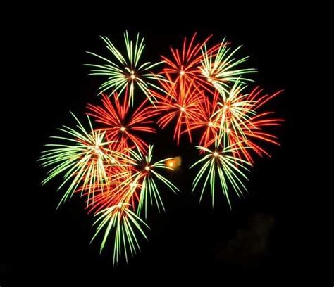 Image result for Display Shell Fireworks
