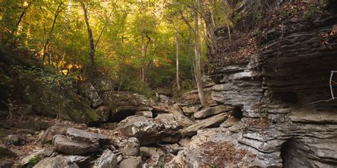 Arkansas Geology and Paleontology Day Camp