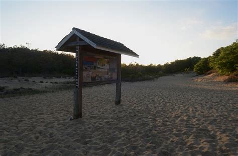 Jockey's Ridge State Park (Nags Head) - What to Know Before You Go ...