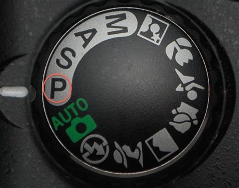 Nikon Program Mode Tutorial 的图像结果