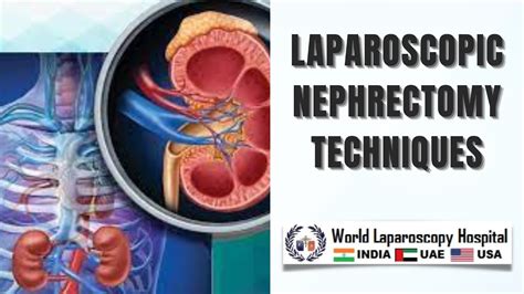 Image result for Nephrectomy Approach