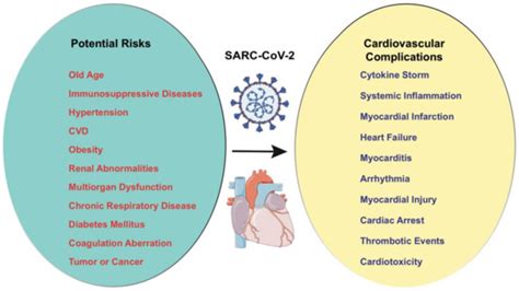 Cardiovascular Manifestations of COVID-19 Infection
