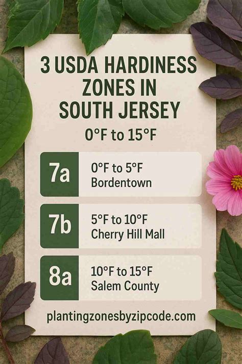 3 USDA Planting zone in South Jersey - plantingzonesbyzipcode