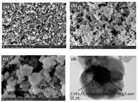 Removal of Mercury (II) by EDTA-Functionalized Magnetic CoFe2O4@SiO2 ...