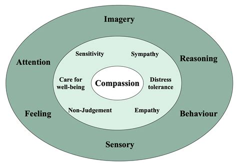 12 Competencies Of Compassion - CFT - Balanced Minds