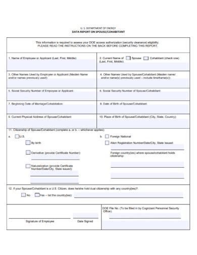 Data Report Form Examples 的图像结果