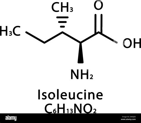 Isoleucine Amino Acid Structure