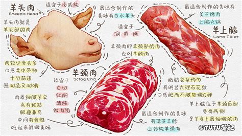 超全的羊肉分类图文笔记 不同部位羊肉名称和吃法-搜狐大视野-搜狐新闻