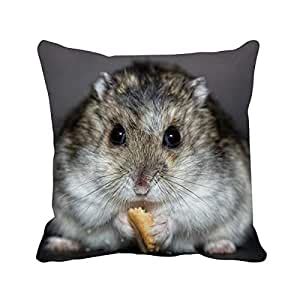 beatChong beatChong Hamster Animal Rat Pet Cute Eat Square Throw Pillow ...