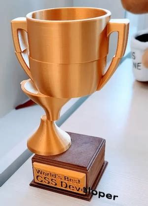 Image result for Best CSS Developer