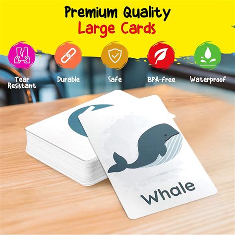 Lacunas Shosin Large Learning Flash Cards for Toddlers 2-4 India | Ubuy