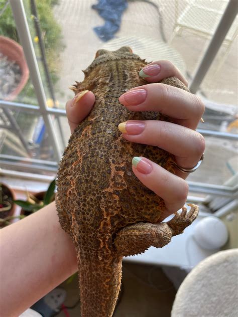 I do my nails myself with normal polish and I'm super proud of these ...