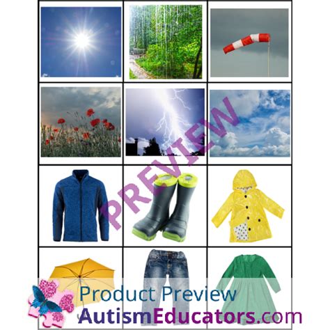 Image result for Spring Sorting Activity