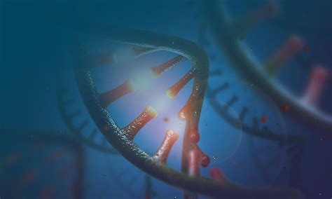 nCounter Analysis System | Products | Bioinnovations