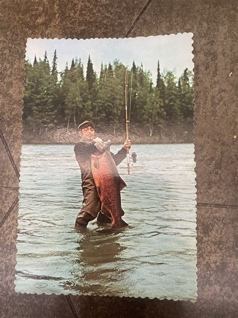 Postcard Alaskan Chinook Salmon Fisherman Kenai River, AK Pacific Water ...