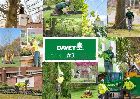 Davey Tree Service 的图像结果