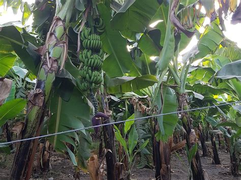 TOUR DE EGYPT (2025) All You Need to Know BEFORE You Go (with Photos ...