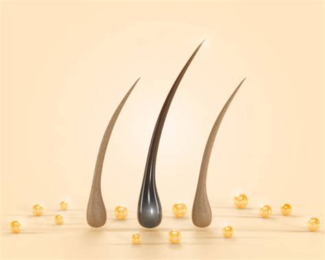 Understanding Plant Keratin: Nature's Gift for Healthy Hair and Skin ...