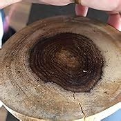 Buy ExclusiveLane Round Wooden Handcrafted Coasters Set for Dining ...