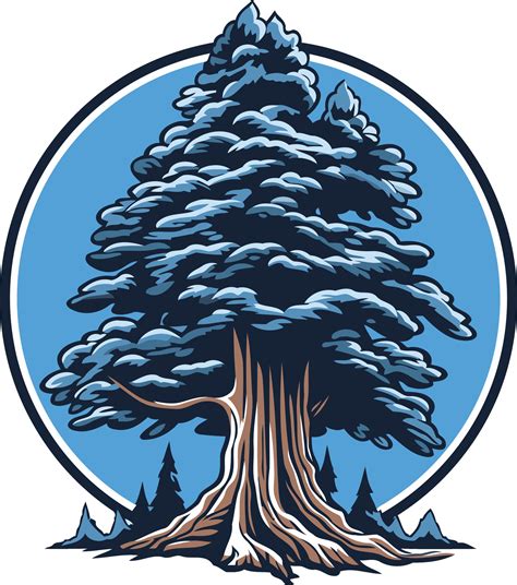 Evergreen Tree Vector 的图像结果