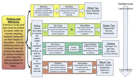 Image result for How to Process Tea