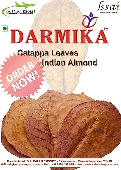 Darmika 45 Almond Catappa Leaves, Premium, Standard Size, Naturally ...