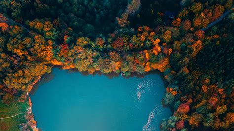 Wallpaper lake, trees, aerial view, autumn, hungary hd, picture, image