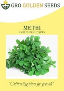 GRO GOLDEN SEEDS kasuri methi seeds, fenugreek seed Seed Price in India ...