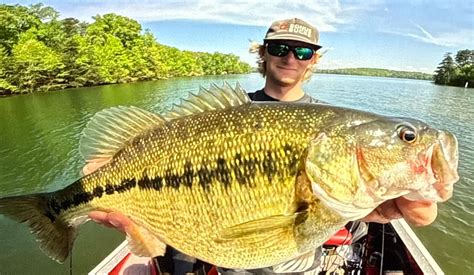 Lake Lanier Fishing Report, May 2025: Productive Strategies, Baits ...