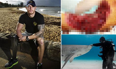 Bay Of Biscay Shark Attacks at Betty Mcclusky blog